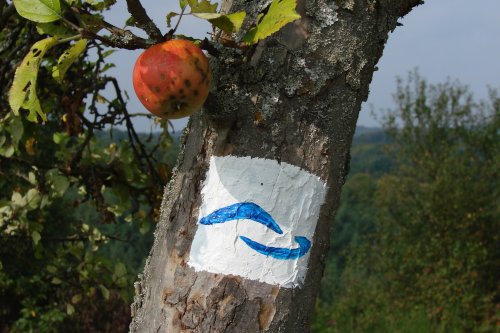 Fotokampagne Wanderwege