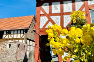 Dautphetal Holzhausen (CC Marburg Stadt und Land Tourismus GmbH)