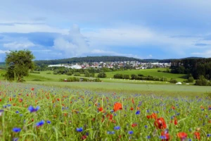 Hohenahr, Ortsteil Erda